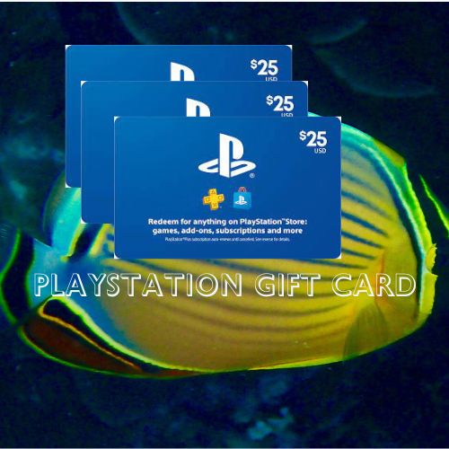 New play Station gift card